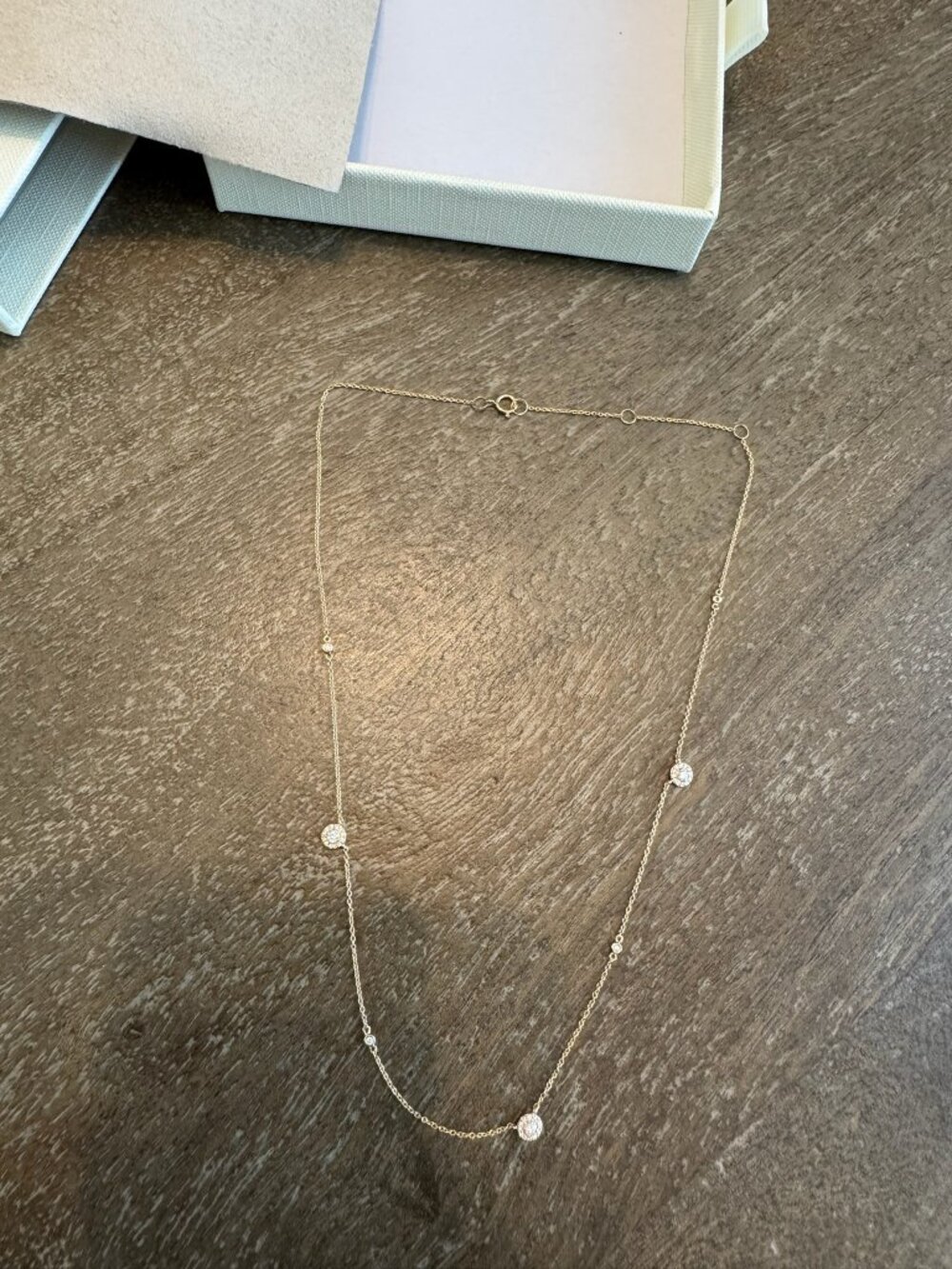 Nasreen Shahi x Seema & Co Dainty Diamond By The Yard Necklace